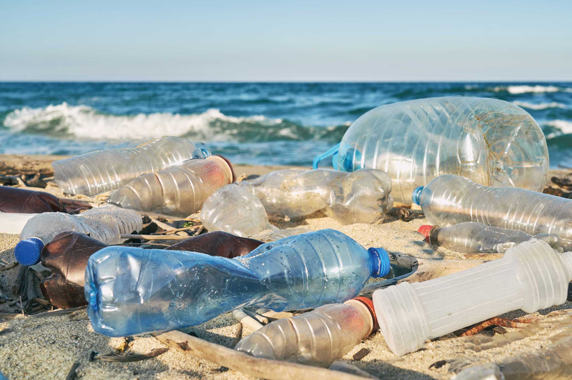海洋プラスチックごみ